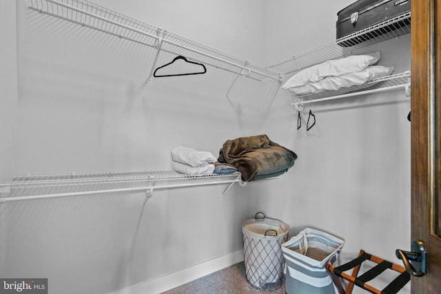 93 Tyro Ln, Roseland, VA 22967 - view of spacious closet