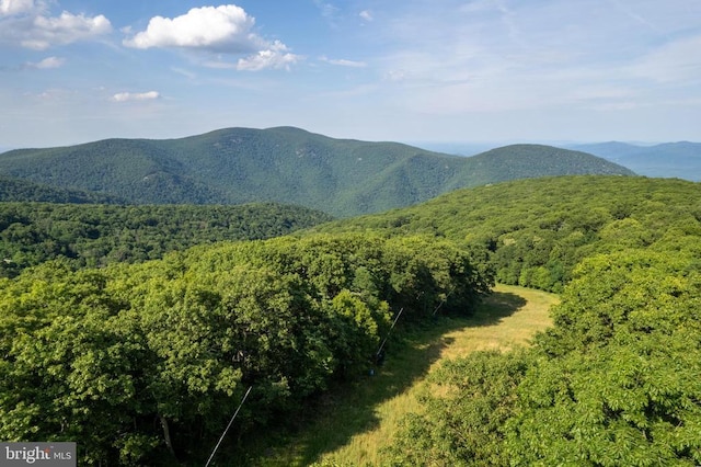 93 Tyro Ln, Roseland, VA 22967 - mountain view with a forest