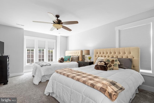 93 Tyro Ln, Roseland, VA 22967 - bedroom featuring carpet floors, ceiling fan, and baseboards