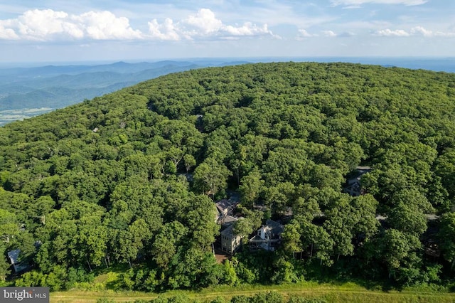 93 Tyro Ln, Roseland, VA 22967 - aerial view of property's location featuring a heavily wooded area and a mountainous background