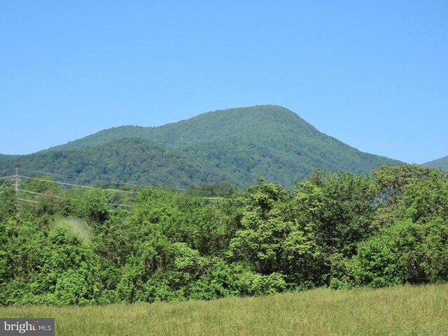  - photo 5