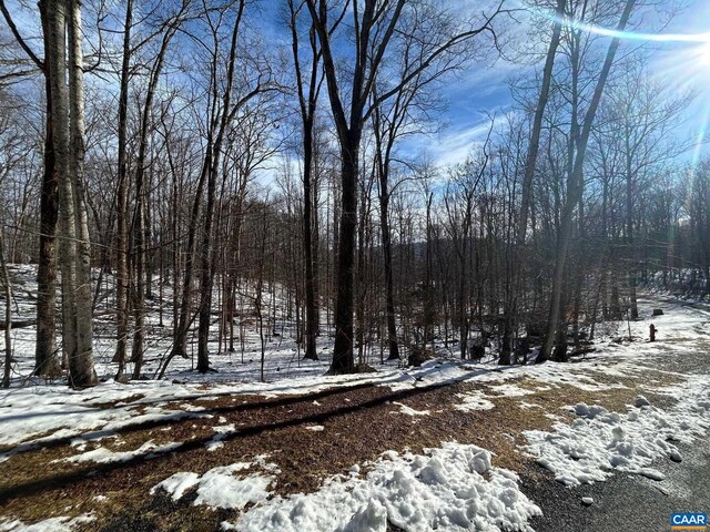 0 Stone Chimneys Rd, Wintergreen, VA 22958