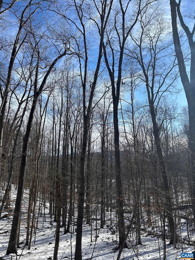 0 Stone Chimneys Rd, Wintergreen, VA 22958