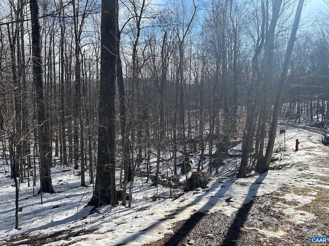 0 Stone Chimneys Rd, Wintergreen, VA 22958