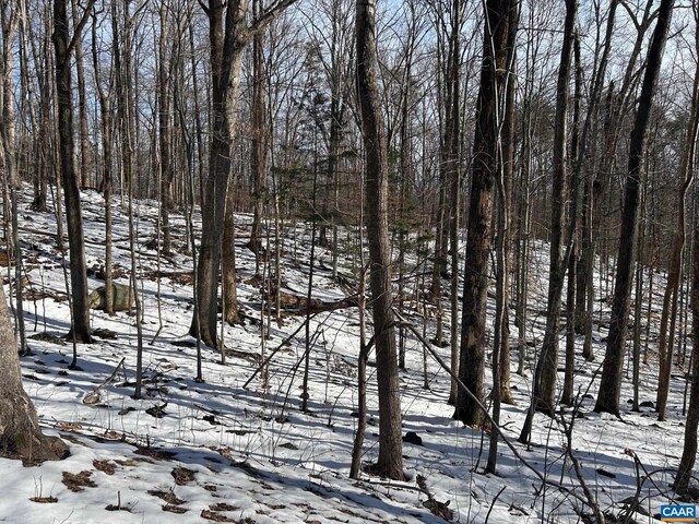 0 Stone Chimneys Rd, Wintergreen, VA 22958