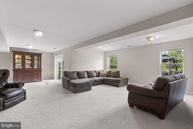 14006 Belle Ave, Culpeper, VA 22701 - photo 38