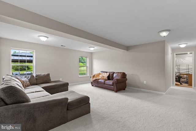 14006 Belle Ave, Culpeper, VA 22701 - photo 37