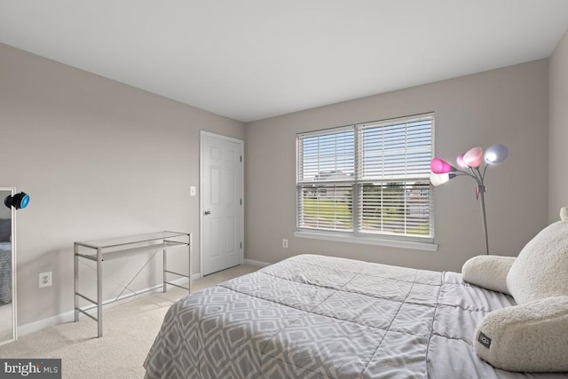 14006 Belle Ave, Culpeper, VA 22701 - photo 32