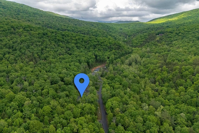 4001 Moreland Gap Rd, New Market, VA 22844 - bird's eye view of a forest and mountains