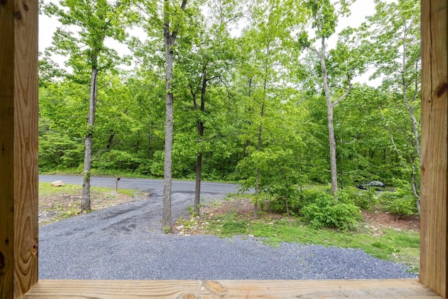 4001 Moreland Gap Rd, New Market, VA 22844 - view of road