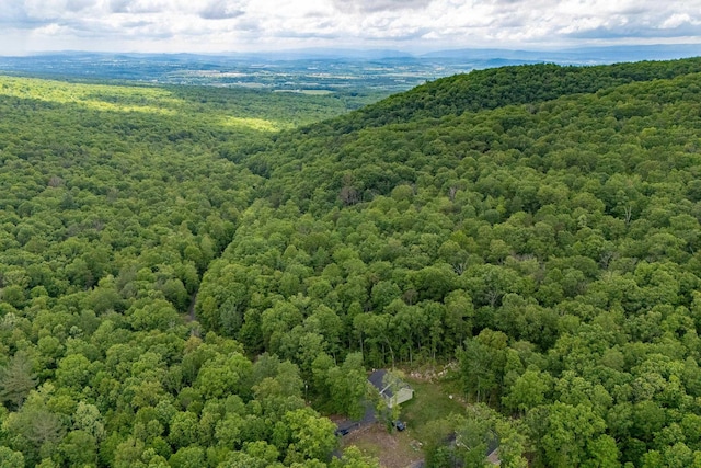 4001 Moreland Gap Rd, New Market, VA 22844 - bird's eye view of a forest