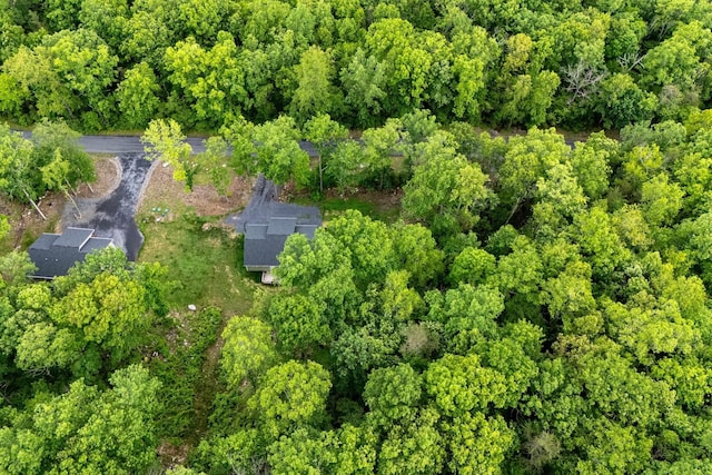 4001 Moreland Gap Rd, New Market, VA 22844 - drone / aerial view