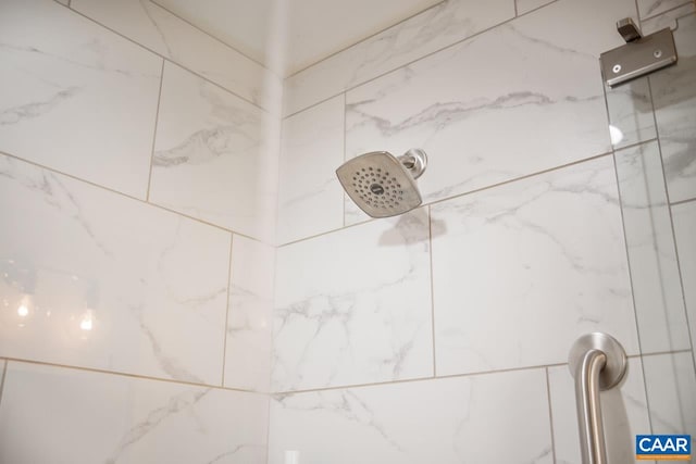 10 Apple Blossom Ct, Nellysford, VA 22958 - interior details with a marble finish shower
