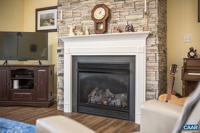 10 Apple Blossom Ct, Nellysford, VA 22958 - details featuring wood finished floors and a fireplace