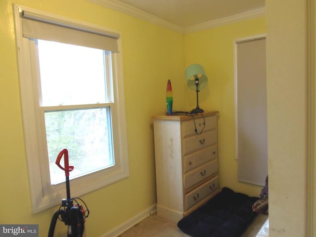 335 Deer Crossing Ln, Orange, VA 22960 - photo 11