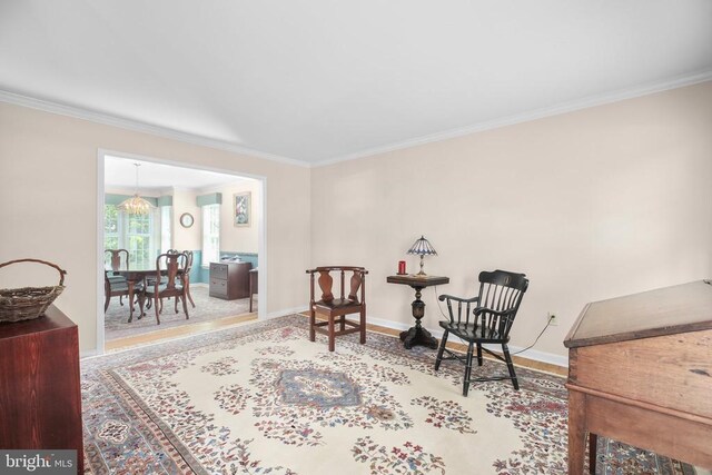 6120 Danford St N, Fredericksburg, VA 22407 - photo 11