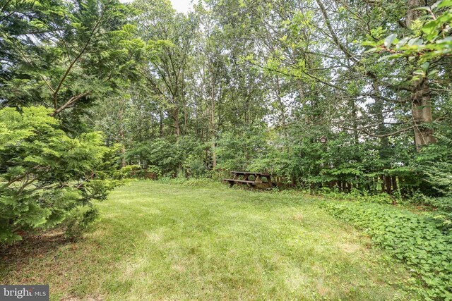 6120 Danford St N, Fredericksburg, VA 22407 - photo 38