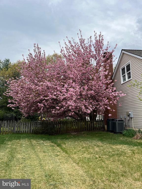 6120 Danford St N, Fredericksburg, VA 22407 - photo 16