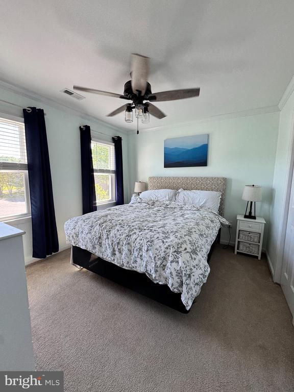 10010 Peppermill Ct, Fredericksburg, VA 22407 - carpeted bedroom with crown molding and ceiling fan