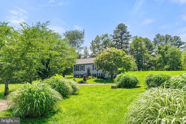  - view of green lawn