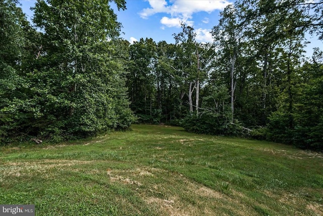 3313 Flat Run Rd, Locust Grove, VA 22508 - photo 68