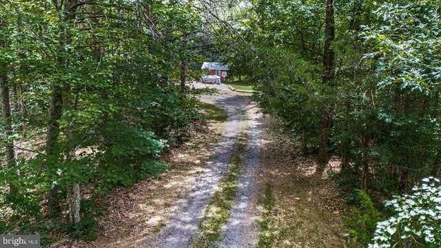 3313 Flat Run Rd, Locust Grove, VA 22508 - photo 72