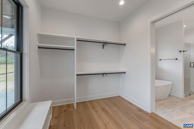 3 Ridge Rd, Charlottesville, VA 22901 - spacious closet featuring light wood-style floors