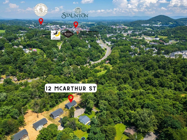 12 Mcarthur St, Staunton, VA 24401 - photo 54