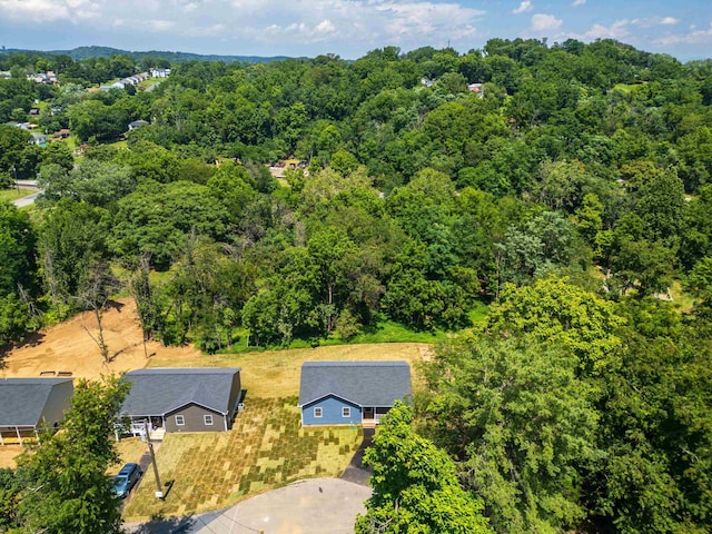 12 Mcarthur St, Staunton, VA 24401 - photo 53