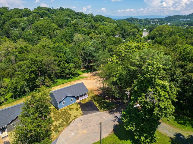 12 Mcarthur St, Staunton, VA 24401 - photo 52