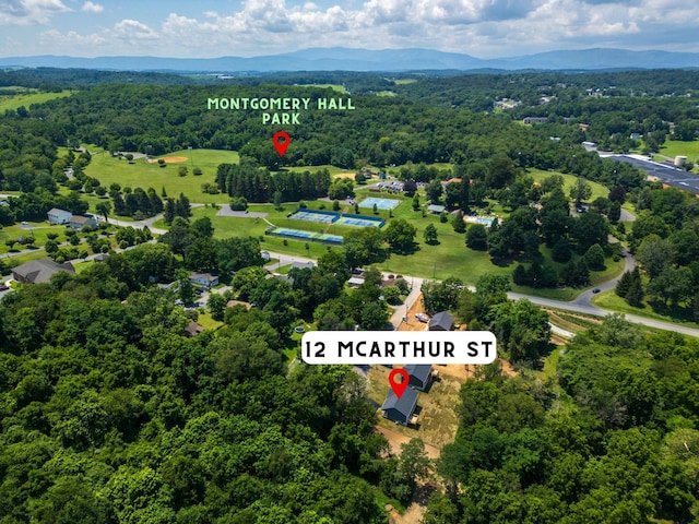 12 Mcarthur St, Staunton, VA 24401 - photo 55