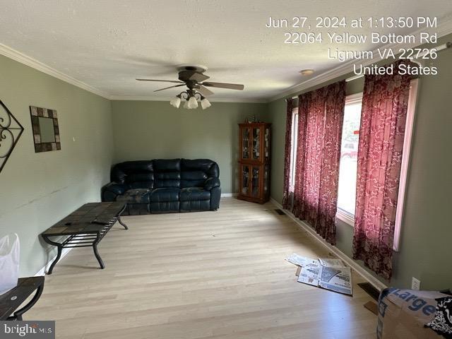 22064 Yellow Bottom Rd, Lignum, VA 22726 - living room featuring crown molding, ceiling fan, and wood finished floors