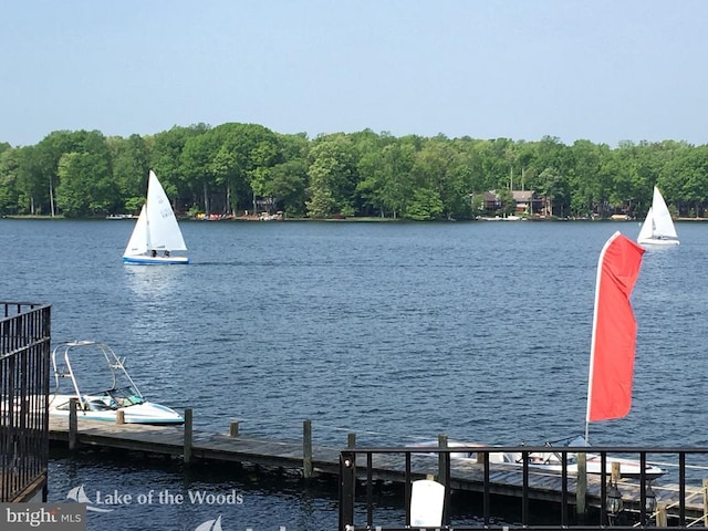 water view with a dock and a heavily wooded area