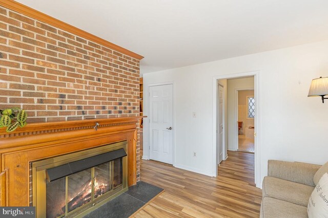 102 Spotswood Rd, Locust Grove, VA 22508 - living area featuring light wood-type flooring, baseboards, and a fireplace