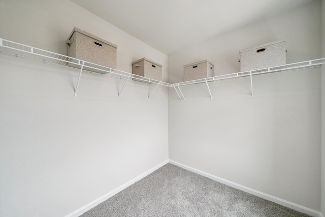 240 Camden Dr, Waynesboro, VA 22980 - spacious closet featuring carpet flooring