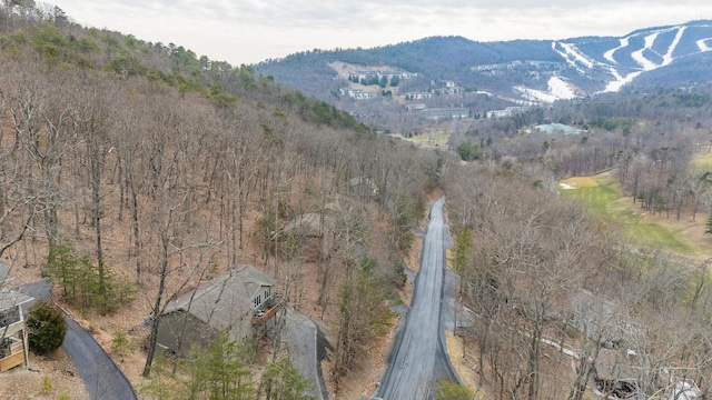 4148 Palmer Rd, Mcgaheysville, VA 22840 - photo 2