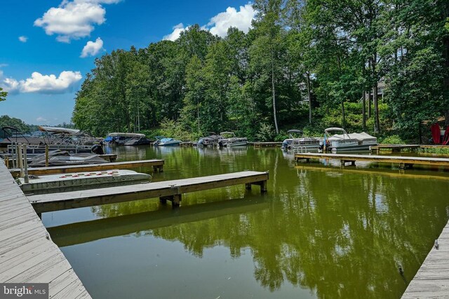 15513 Chestnut Tree Ct, Mineral, VA 23117 - photo 65