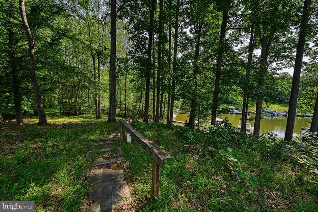 15513 Chestnut Tree Ct, Mineral, VA 23117 - photo 61
