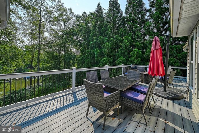 15513 Chestnut Tree Ct, Mineral, VA 23117 - photo 57