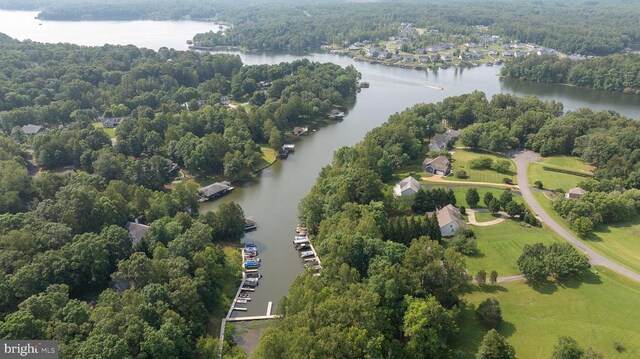 15513 Chestnut Tree Ct, Mineral, VA 23117 - photo 66