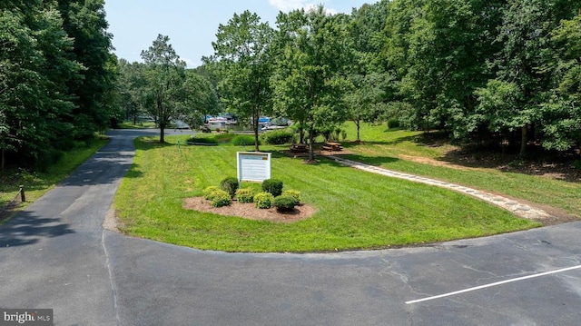 15513 Chestnut Tree Ct, Mineral, VA 23117 - photo 72