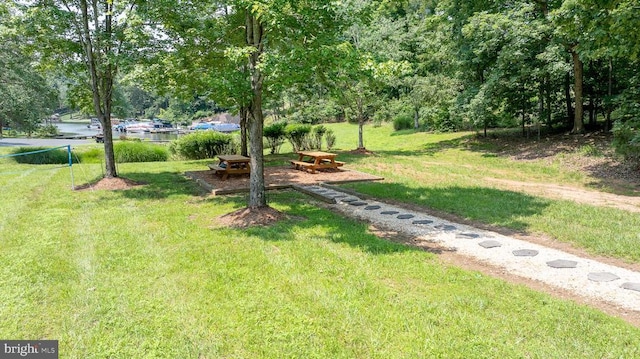 15513 Chestnut Tree Ct, Mineral, VA 23117 - photo 73