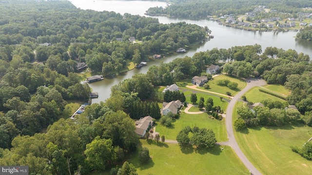 15513 Chestnut Tree Ct, Mineral, VA 23117 - photo 70
