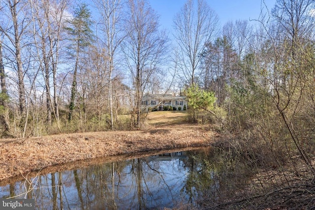 5585 Sperryville Pike, Boston, VA 22713 - water view