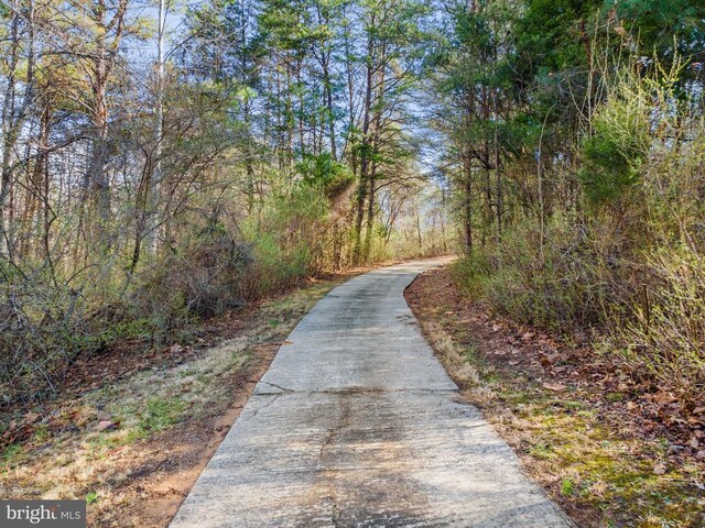 5585 Sperryville Pike, Boston, VA 22713 - view of road featuring a forest view
