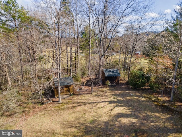 5585 Sperryville Pike, Boston, VA 22713 - view of yard featuring a storage unit and an outdoor structure