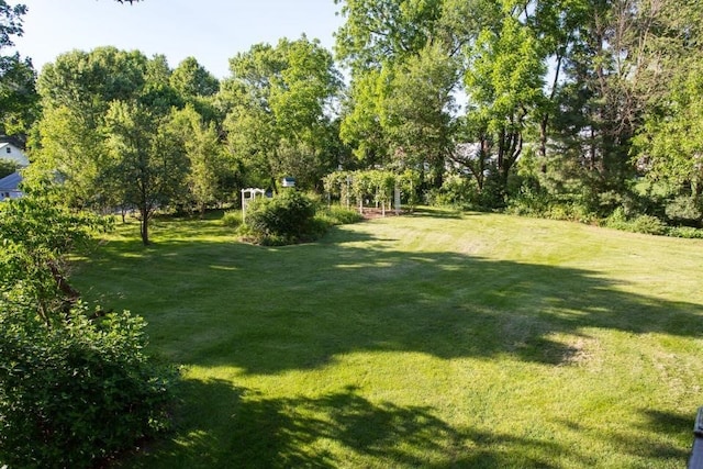 view of green lawn