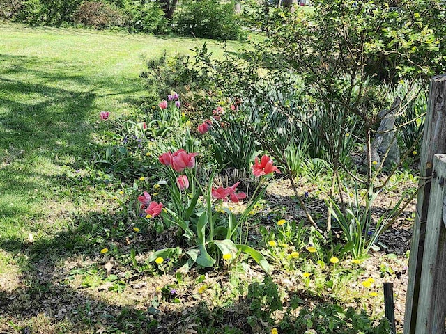 view of grassy yard