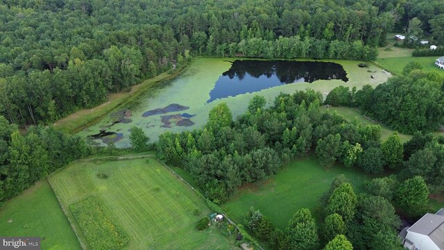 1884 Kennon Rd, Mineral, VA 23117 - view of property location featuring a large body of water and a heavily wooded area