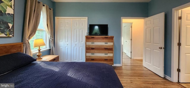 1884 Kennon Rd, Mineral, VA 23117 - bedroom featuring wood finished floors and a closet